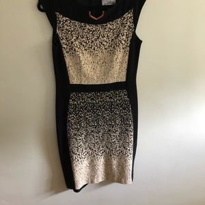 Joseph Ribkoff dress